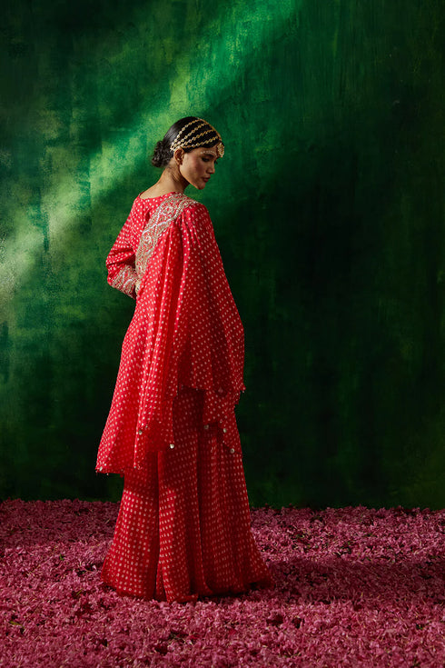 Rimjhim Drape Sharara Set