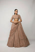 Bronze Rosé Lehenga Set