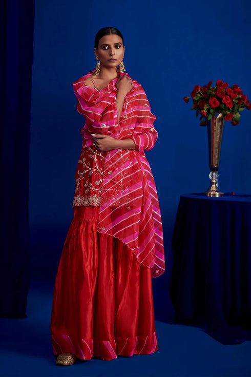 Sharara Set With Heavily Embroidered Spaghetti Kurta