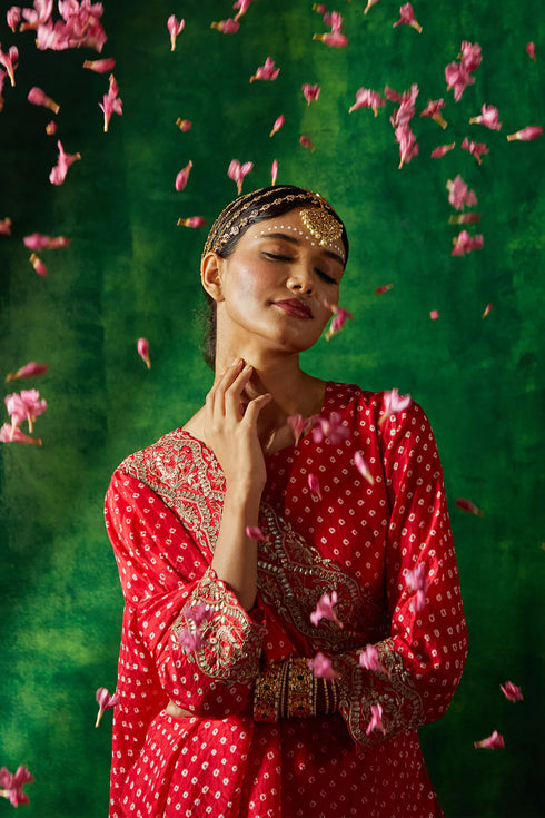 Rimjhim Drape Sharara Set