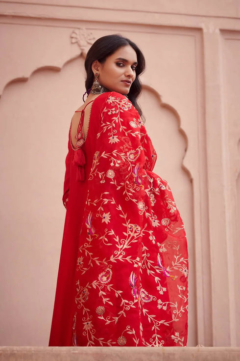 Anarkali With Heavy Jaal Dupatta