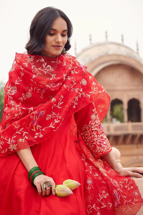 Anarkali With Heavy Jaal Dupatta