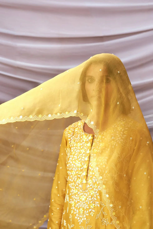 Embroidered Kurta Set With Organza Dupatta
