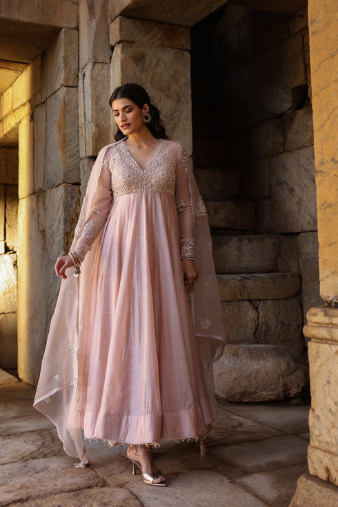 Vaayu Light Pink Applique Kalidar Set