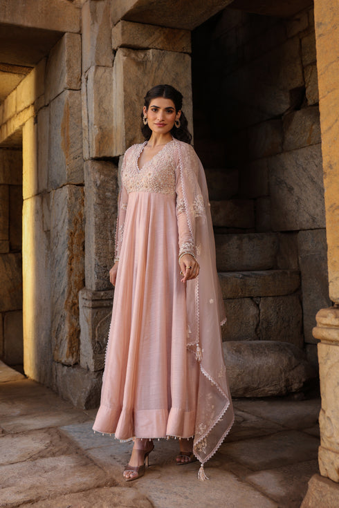 Vaayu Light Pink Applique Kalidar Set