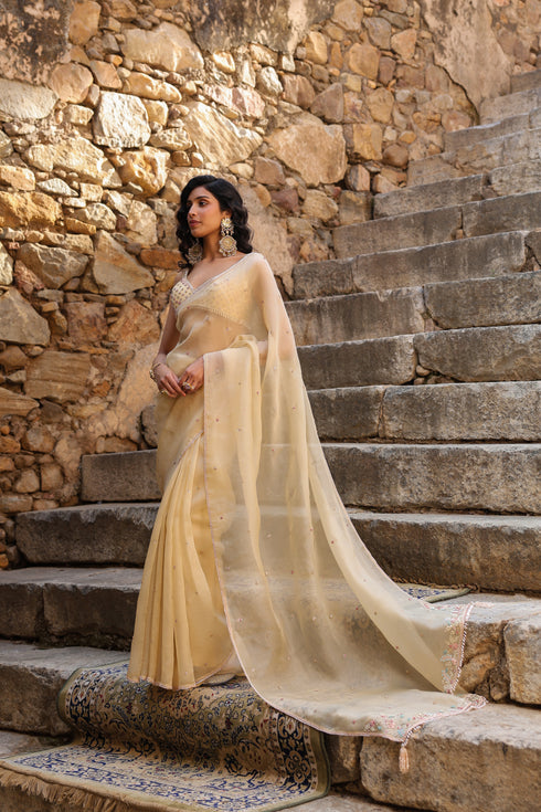Vaayu Beige Multicolor Butti Saree Set