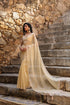 Vaayu Beige Multicolor Butti Saree Set