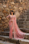 Vaayu Pink Jaal Saree Set