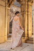 Vaayu Taupe Applique Corset Saree Set