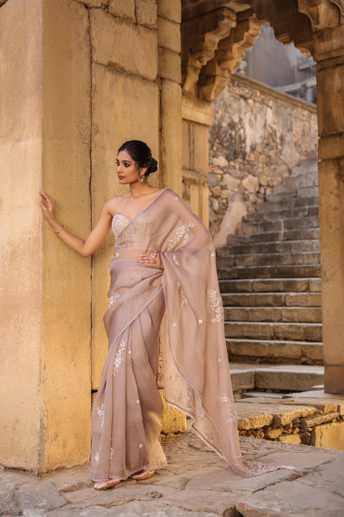 Vaayu Taupe Applique Corset Saree Set