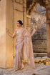 Vaayu Taupe Applique Corset Saree Set