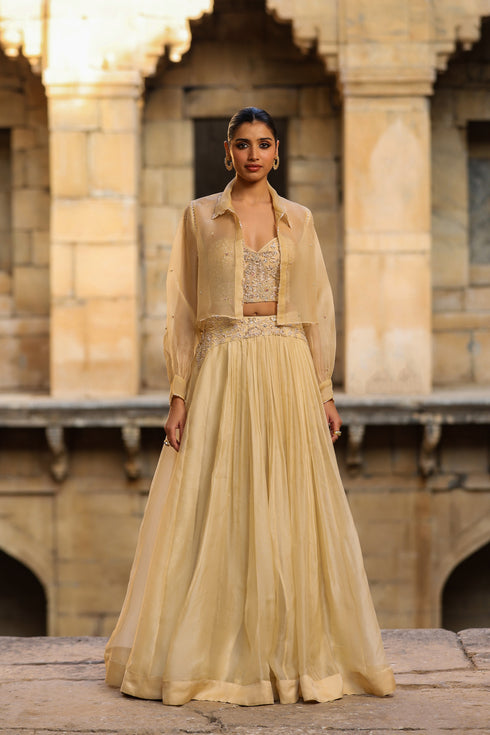 Vaayu Beige Jacket Lehenga Set