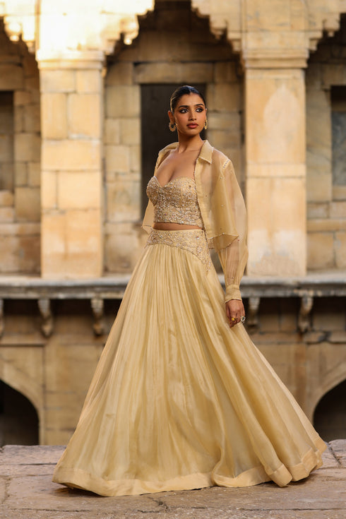 Vaayu Beige Jacket Lehenga Set