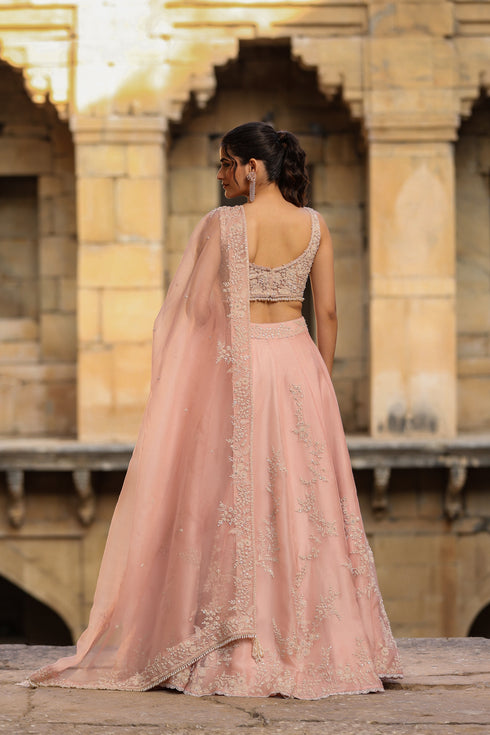 Vaayu Light Pink Jaal Lehenga Set