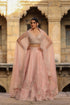 Vaayu Light Pink Jaal Lehenga Set