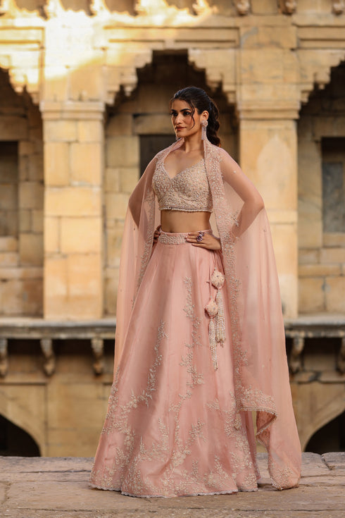 Vaayu Light Pink Jaal Lehenga Set