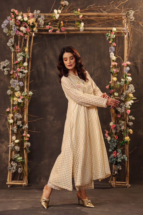 Vaayu Beige Panelled Kalidar Set