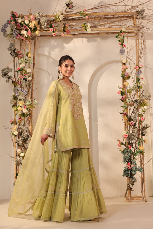 Vaayu Green Sharara Set