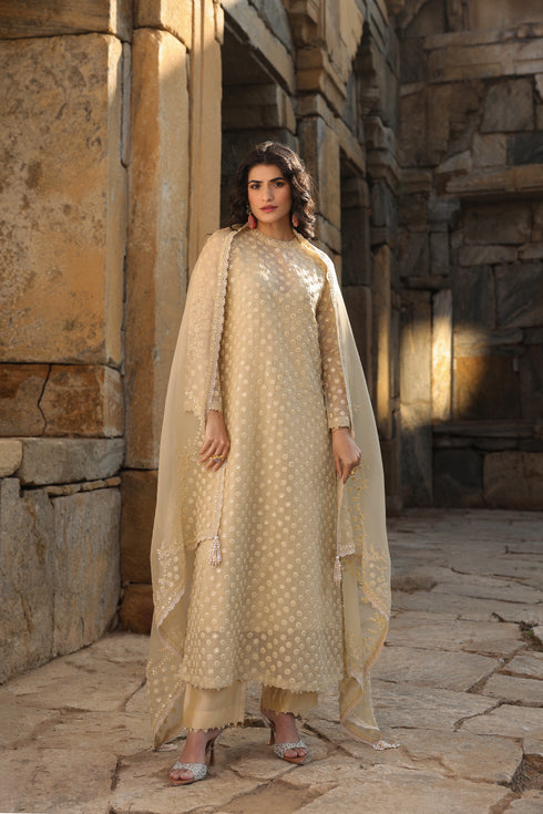 Vaayu Beige Buti Close Neck Kurta Set