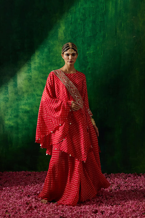 Rimjhim Drape Sharara Set