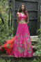 Pink Organza Printed Lehenga Set