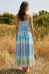 Blue Printed Organza Dress