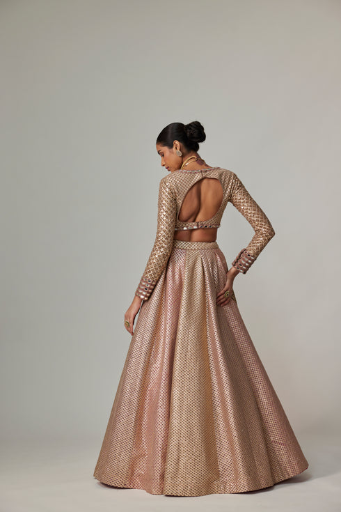 Deep Beige Multicolor Skirt With V Neck Full Sleeve Blouse