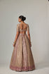 Deep Beige Multicolor Metallic Lehenga With Elbow Blouse
