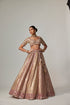 Deep Beige Multicolor Metallic Lehenga With Elbow Blouse