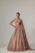 Deep Beige Multicolor Metallic Lehenga With Elbow Blouse