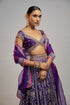 Golconda Sacchi Lehenga Set