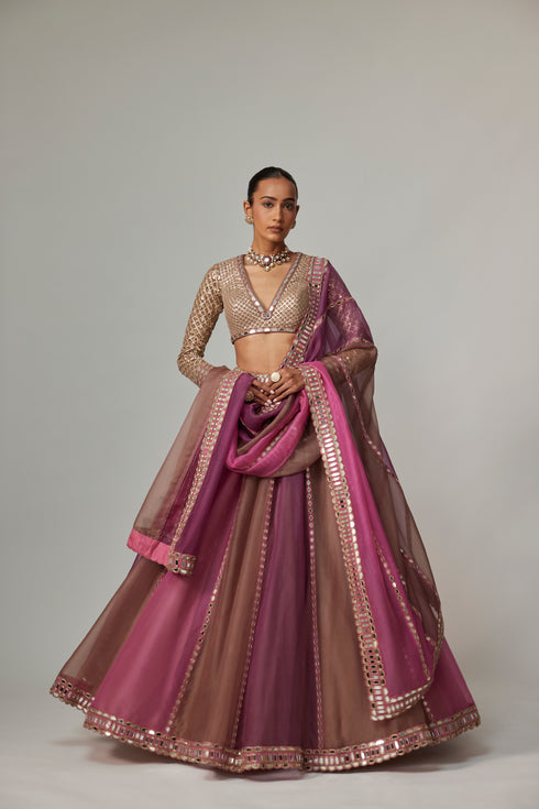 Mud Mauve Multicolor Lehenga With V Neck Blouse
