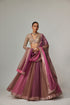Mud Mauve Multicolor Lehenga With V Neck Blouse