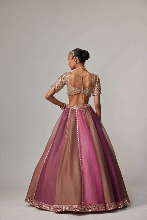Mud Mauve Multicolor Lehenga With Elbow Sleeve Blouse