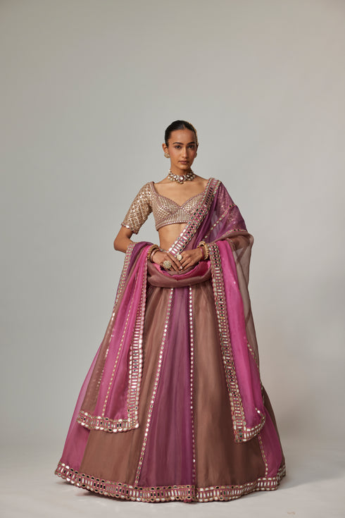 Mud Mauve Multicolor Lehenga With Elbow Sleeve Blouse
