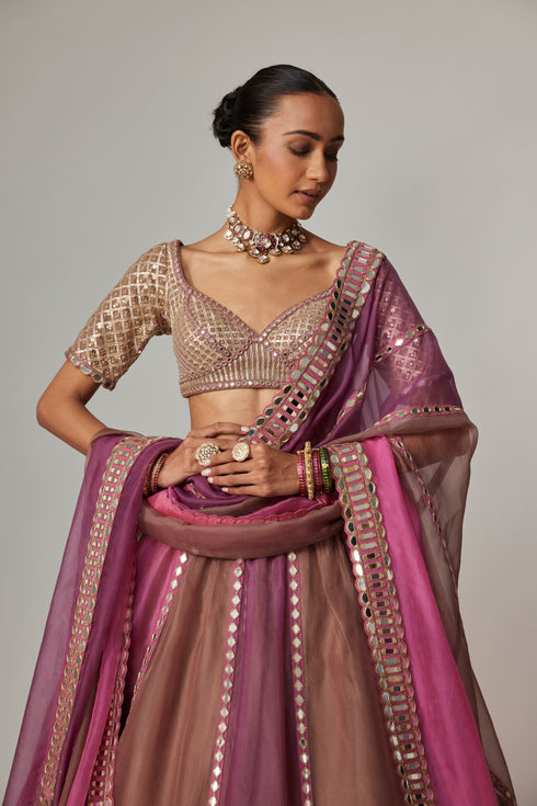 Mud Mauve Multicolor Lehenga With Elbow Sleeve Blouse