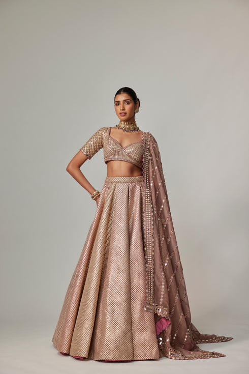 Deep Beige Multicolor Mettalic Lehenga Set