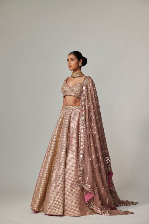Deep Beige Multicolor Mettalic Lehenga Set