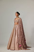 Deep Beige Multicolor Mettalic Lehenga Set