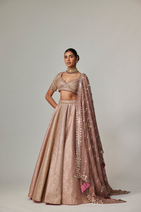 Deep Beige Multicolor Mettalic Lehenga Set