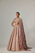 Deep Beige Multicolor Mettalic Lehenga Set