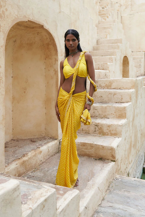 Bandhni Collar Saree