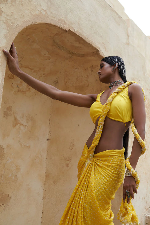 Bandhni Collar Saree