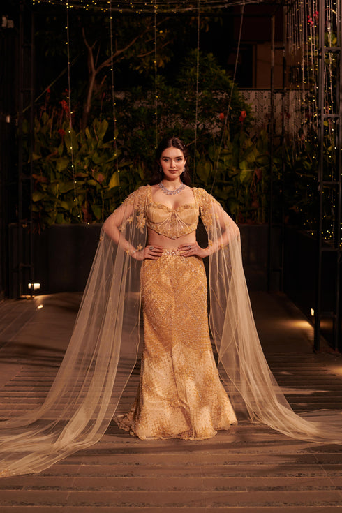 Champagne Gold Lehenga Set
