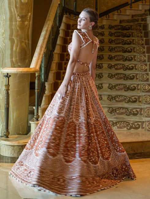 Rustic Elegence Lehenga Set