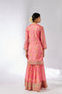 Sadhna Sharara Set - Pink