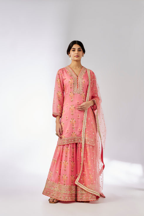 Sadhna Sharara Set - Pink
