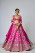 Krshnavi Lehenga Set