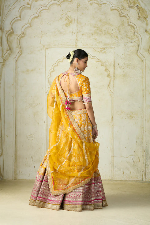 Haseena Lehenga Set