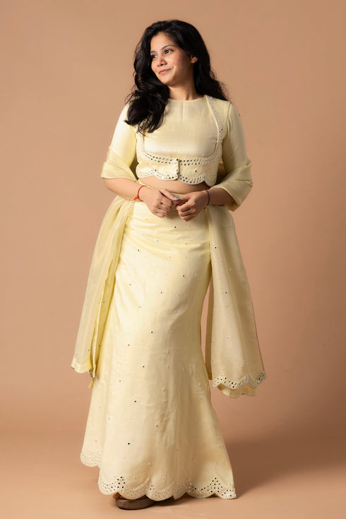 Raw Silk Lehenga And Blouse With Organza Dupatta